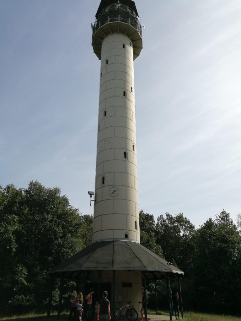 wieża widokowa Dziewicza Góra