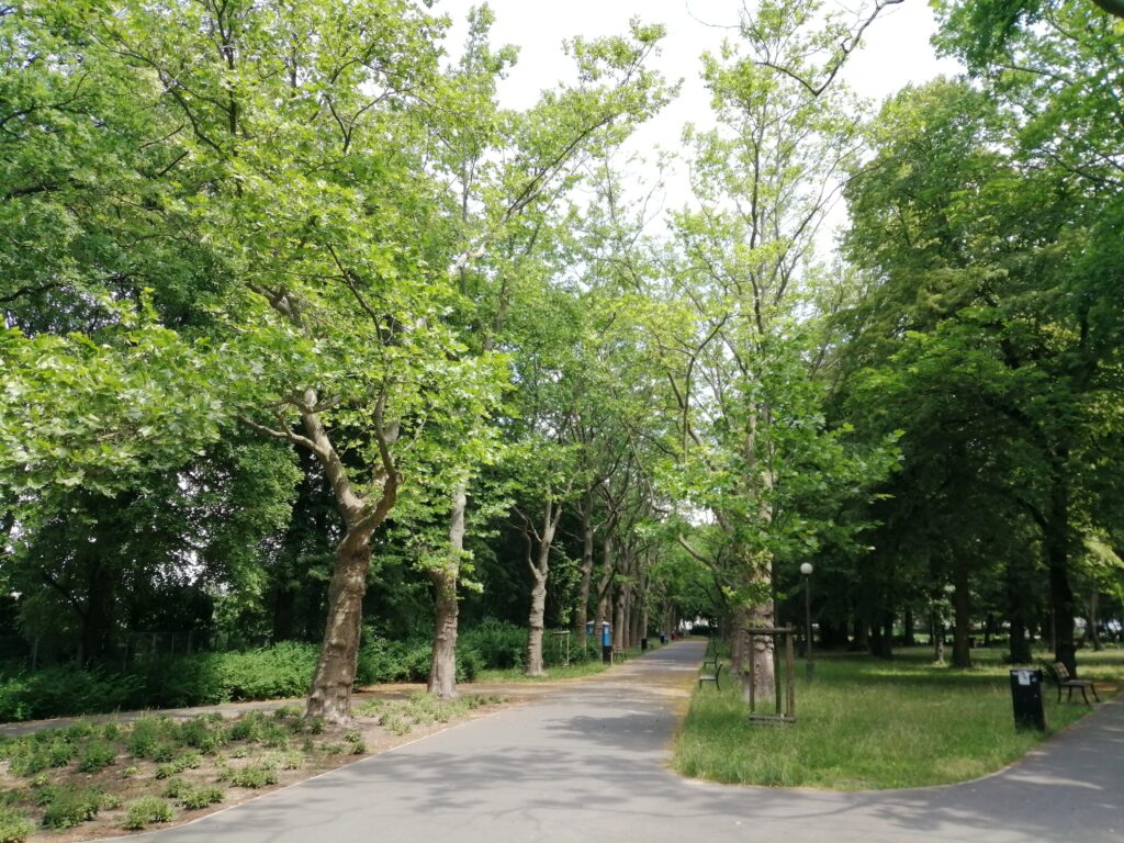 Park Górczyński
