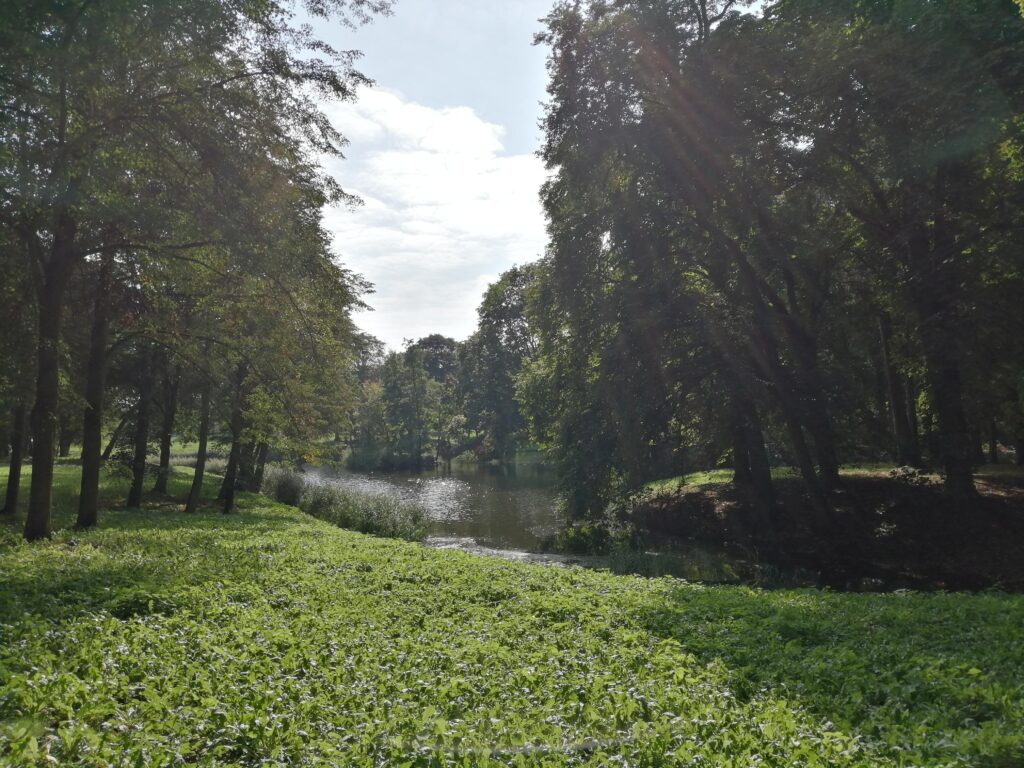 Park w Jankowicach