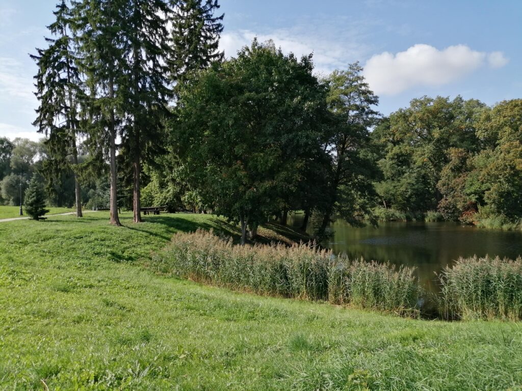 Park w Jankowicach