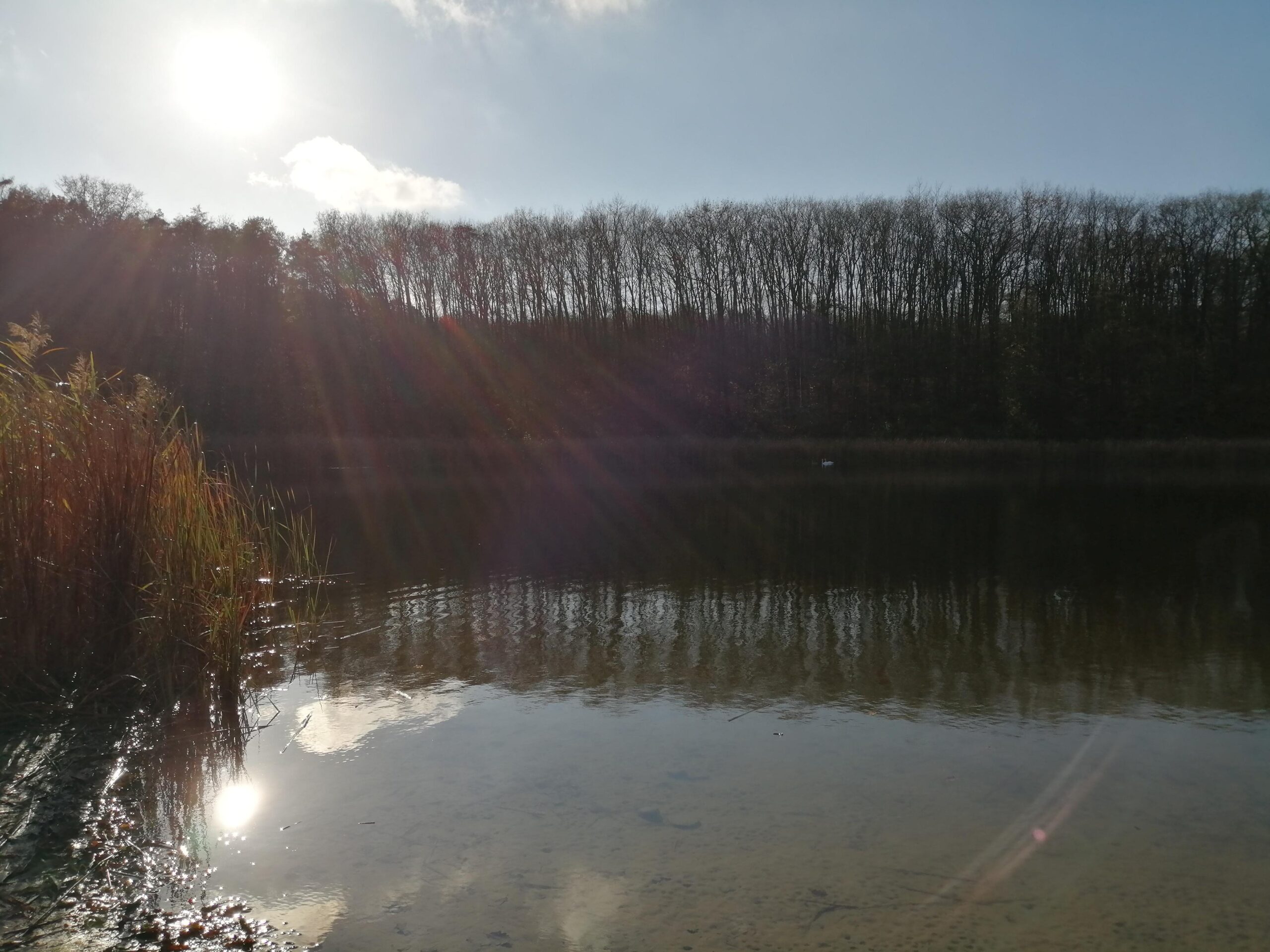 Jezioro Jarosławieckie, Jarosławiec