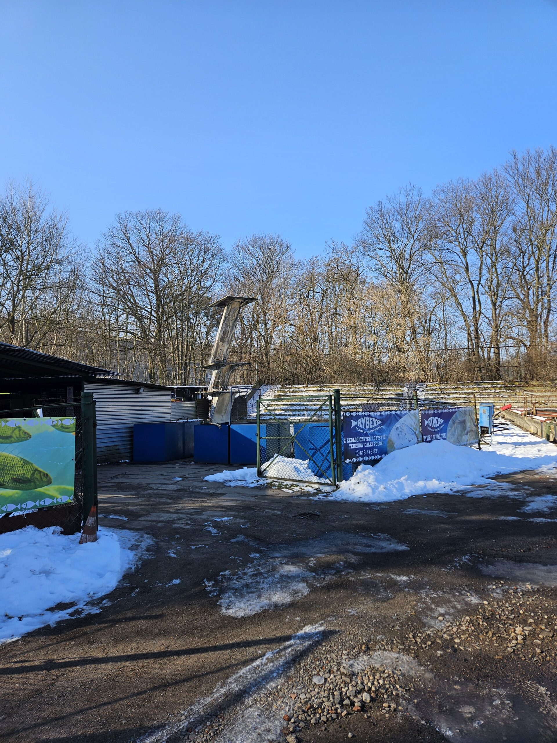 Pływalnia przy Niestachowskiej, Poznań