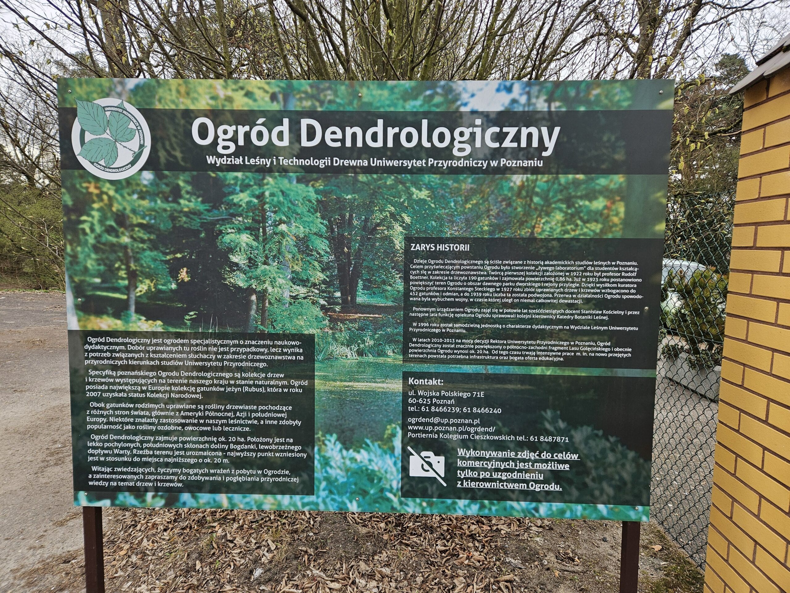 Ogród Dendrologiczny w Poznaniu