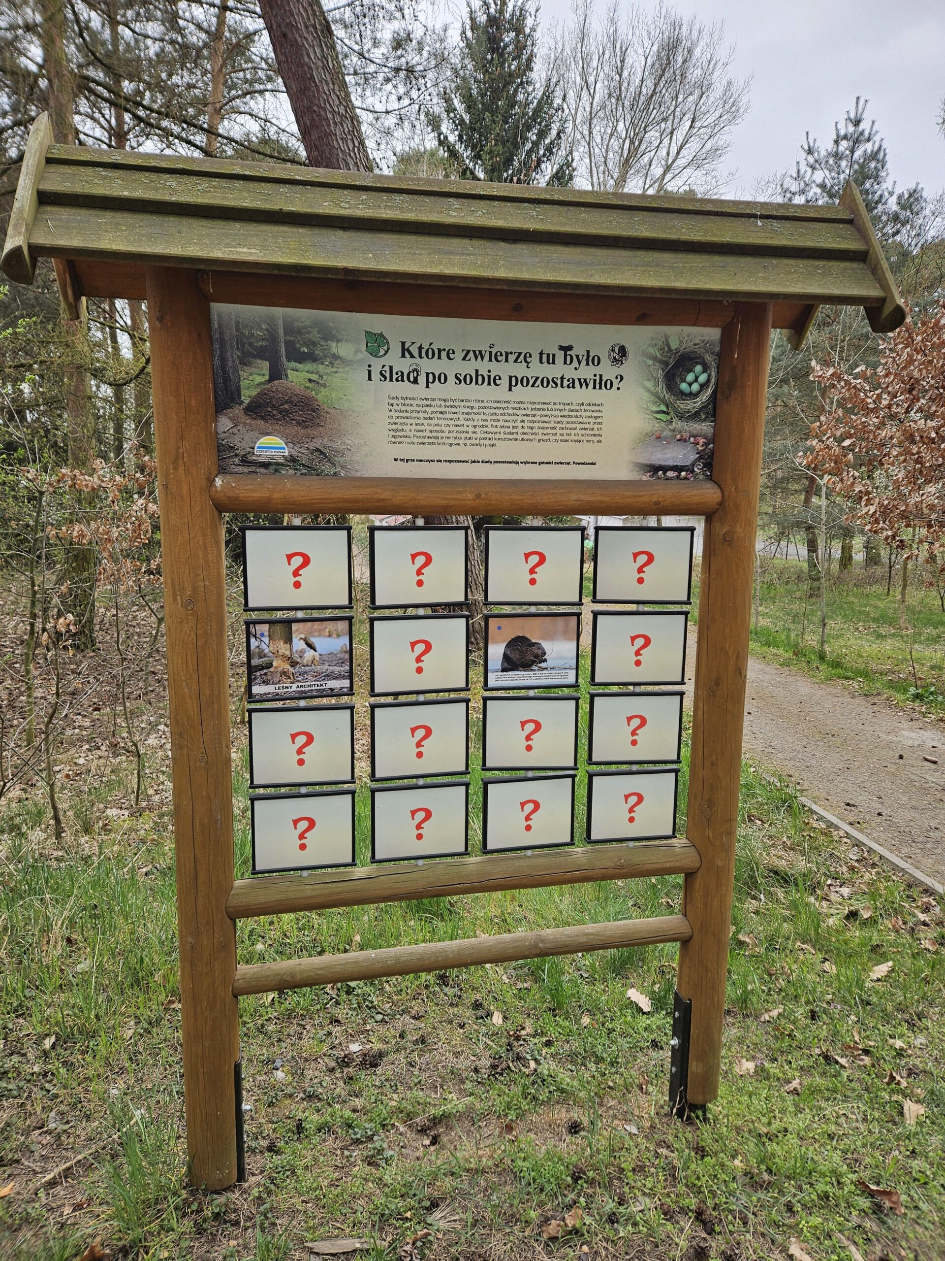 Ogród Dendrologiczny w Poznaniu