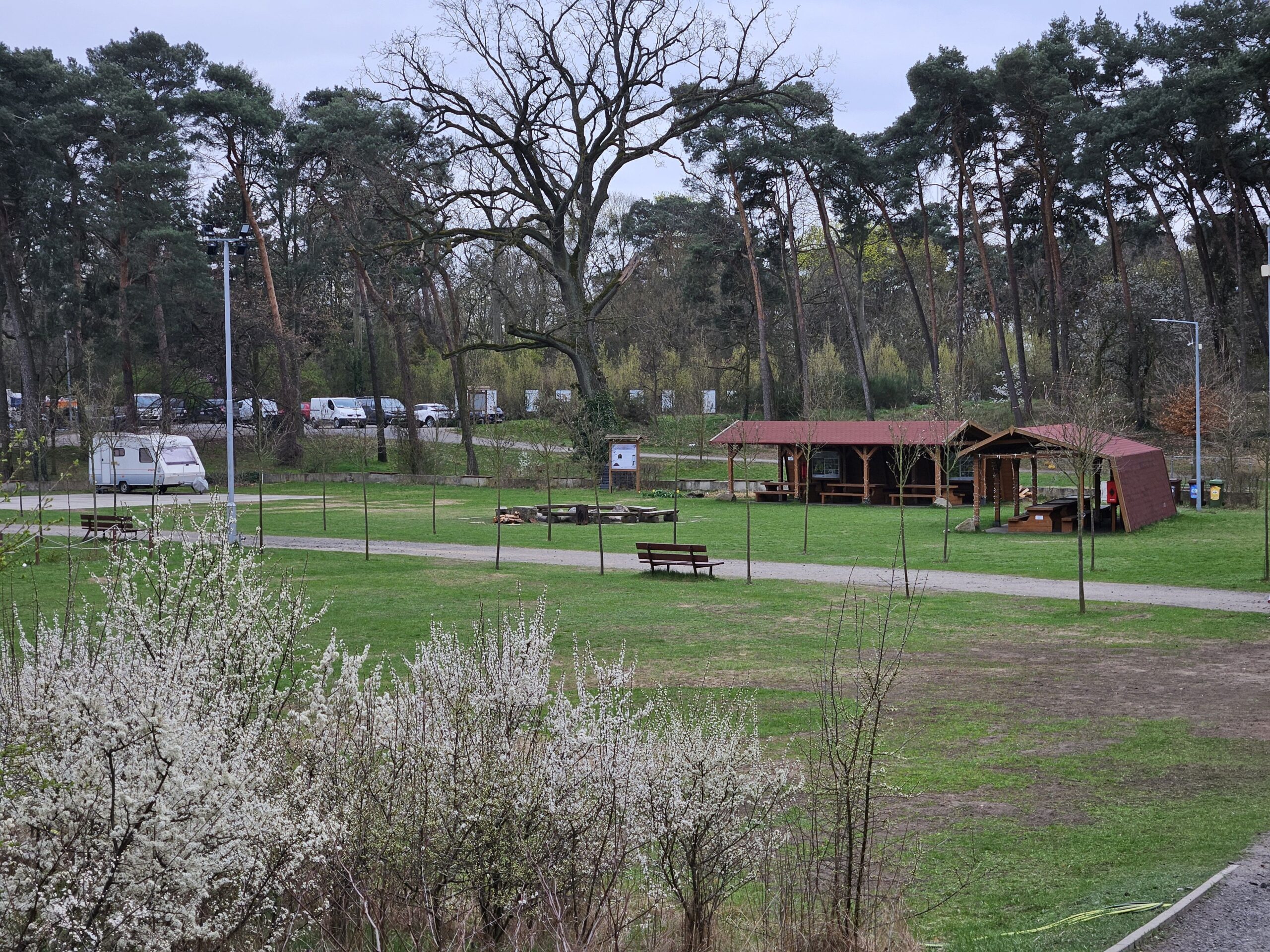 Ogród Dendrologiczny w Poznaniu